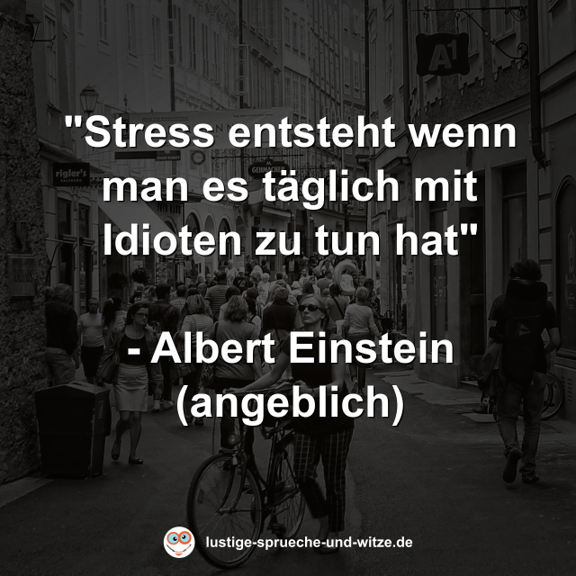 Stress Entsteht Wenn Man Es lich Mit Idioten Zu Tun Hat Albert Einstein Angeblich